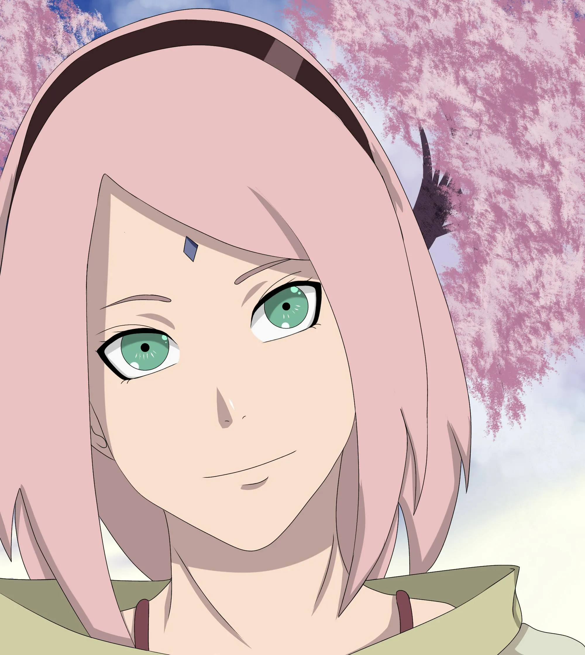 Sakura Petals